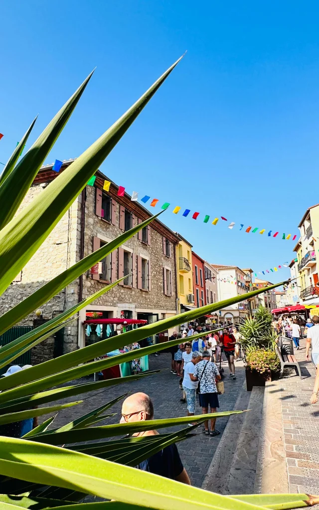 Wanderung Des Dorfes Sommer 2023 Argelestourisme Juliette Laurent 7468