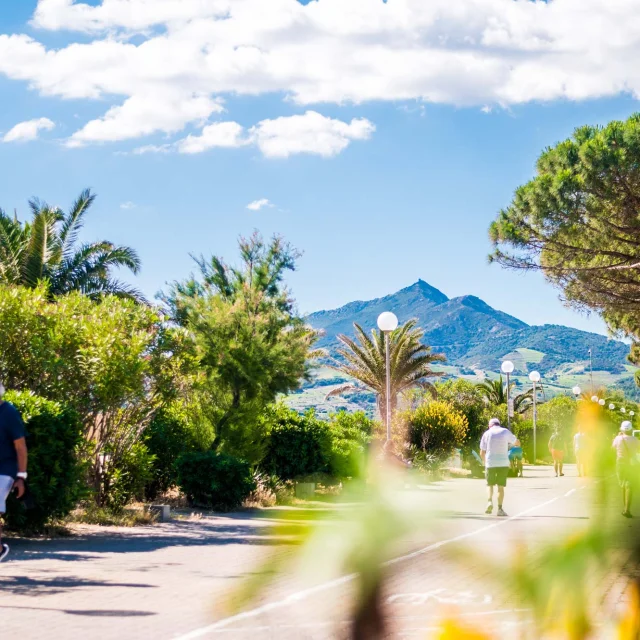 Promenade Front De Mer Argelestourisme Stephane Ferrer 5623