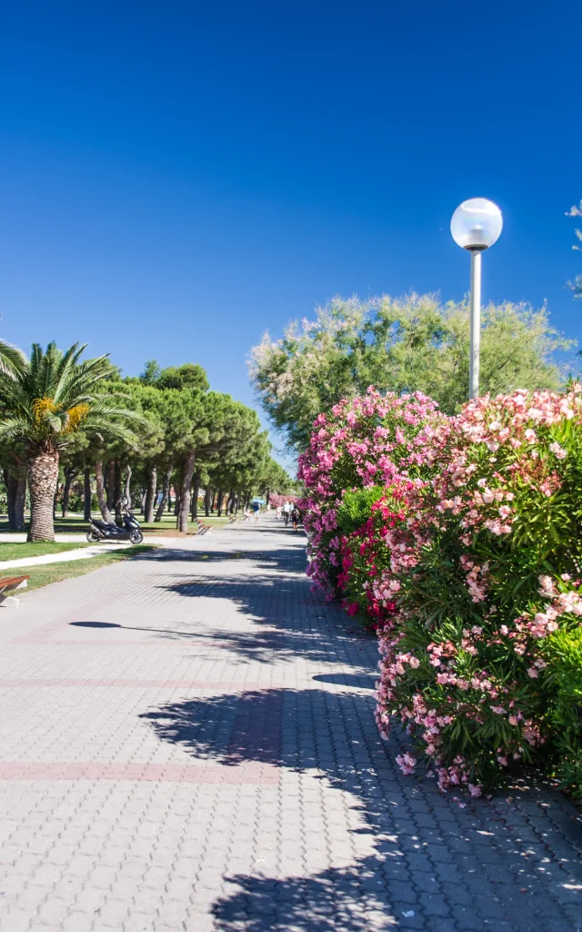 Argelès sur mer