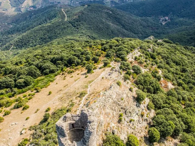 Naturschutzgebiet Foret Massane Argeles D 5