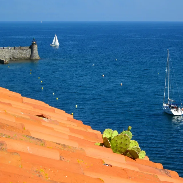 Collioure 1049865 1920