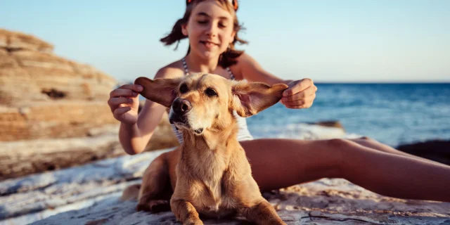 Hundefreundliche Strände in Argeles Sur Mer