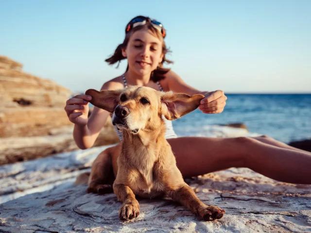 Hundefreundliche Strände in Argeles Sur Mer