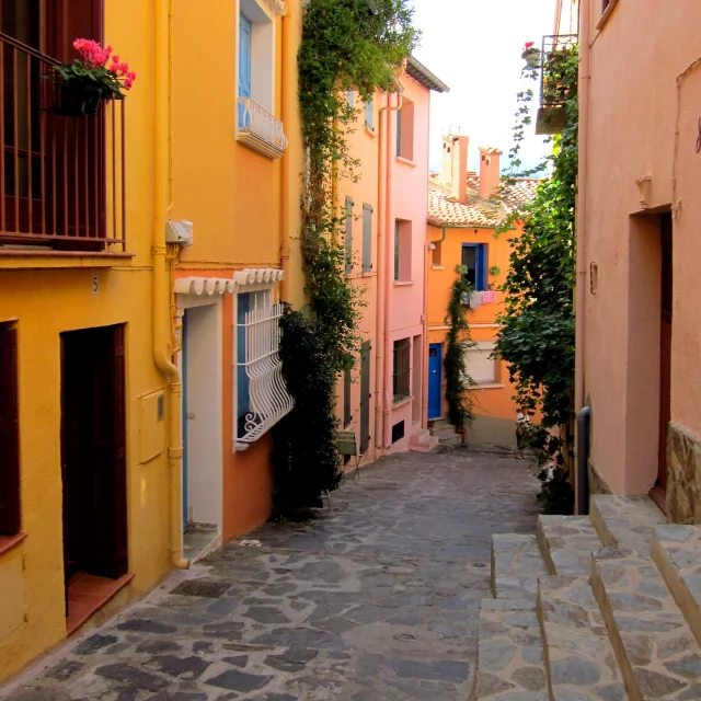 Collioure