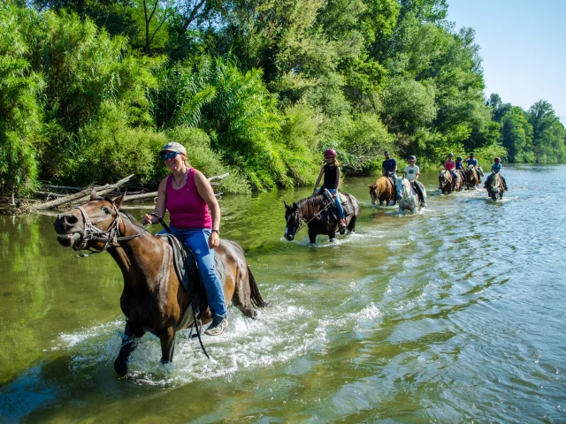 Horseback riding Argelestourisme Stephane Ferrer 2112