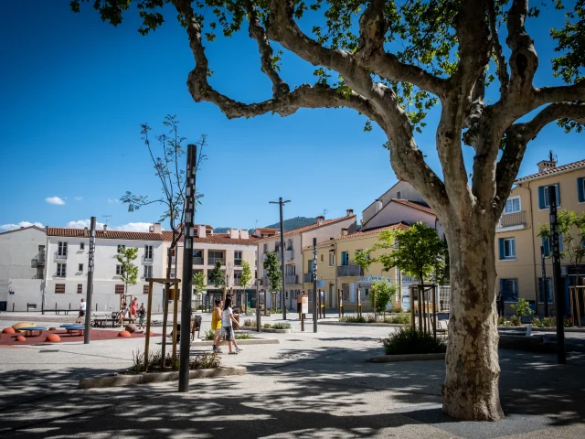 Place Gambetta Argelestourisme Benjamin Collard 5165