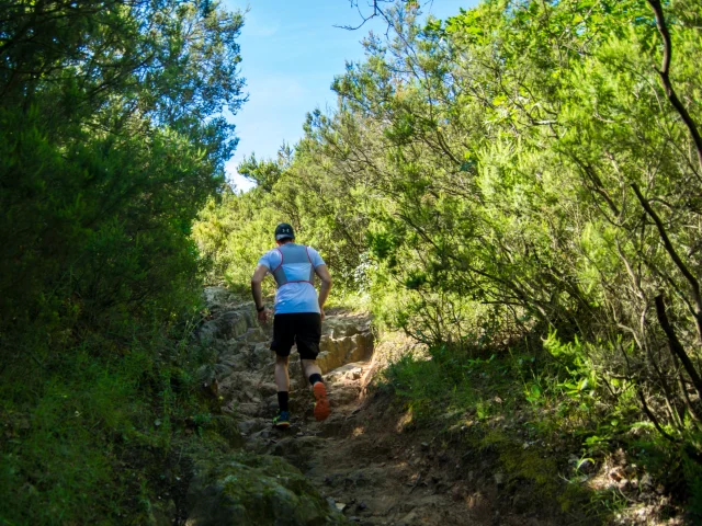 Trail Argelestourisme Stephane Ferrer 2769