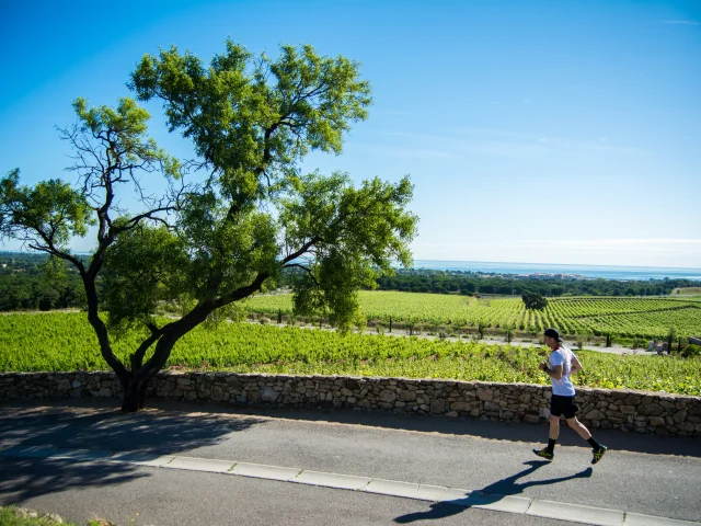 Trail Argelestourisme Stephane Ferrer 2778