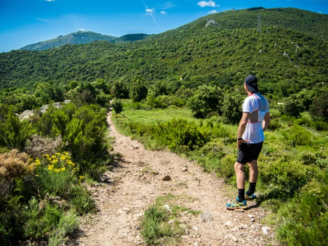 Trail Argelestourisme Stephane Ferrer 2793