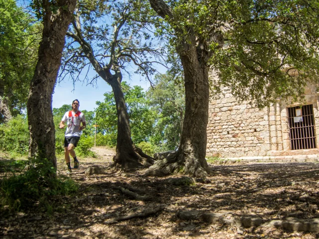 Trail Argelestourisme Stephane Ferrer 2805