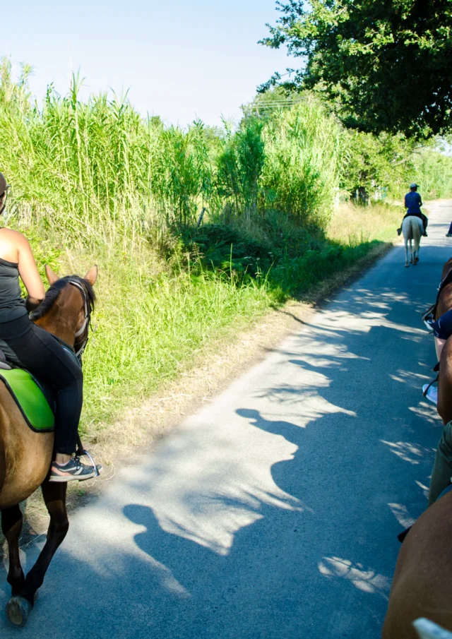 Balade Cheval Argeles S Ferrer 12