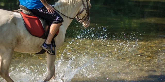 Balade Cheval Argeles S Ferrer 8