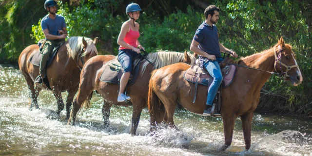 Balade Cheval Argeles S Ferrer 9