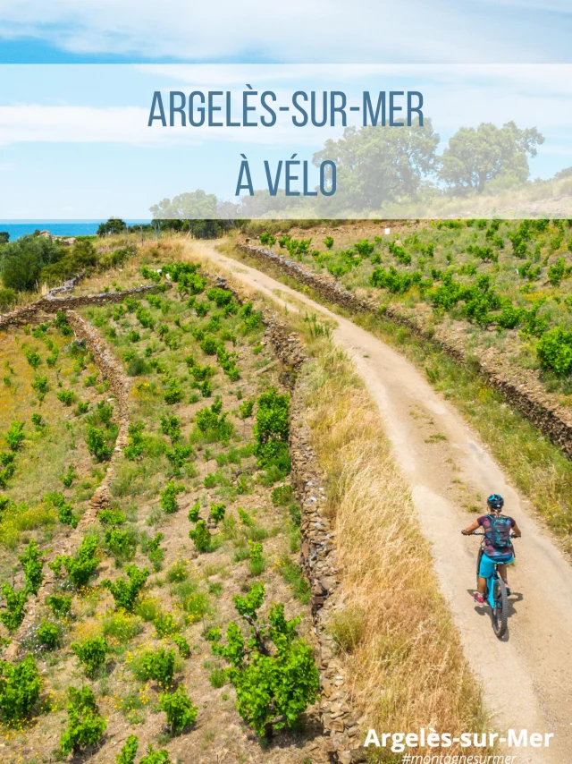 Guide Accueil Velo Argelessurmer Couv Jpg